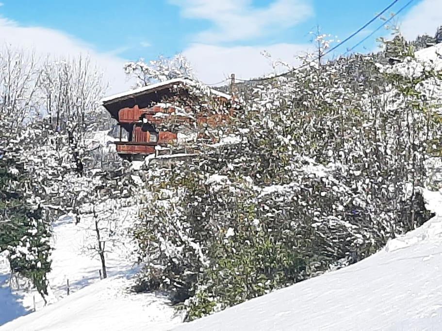 Mountain Chalet ไมย์อาโฮเฟิน ภายนอก รูปภาพ